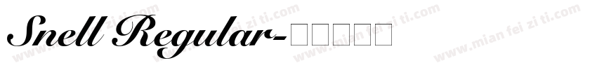Snell Regular字体转换